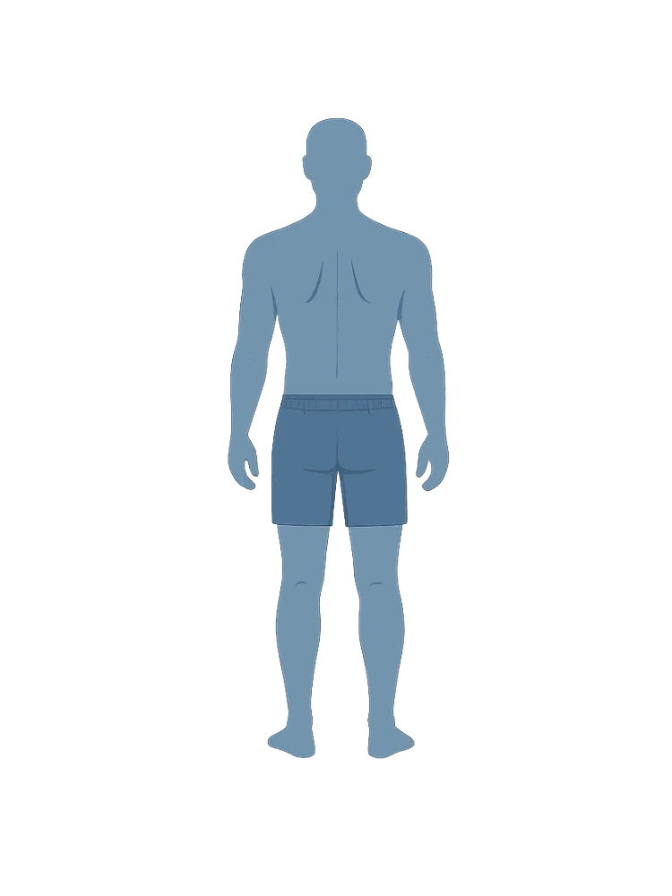 Back view body diagram