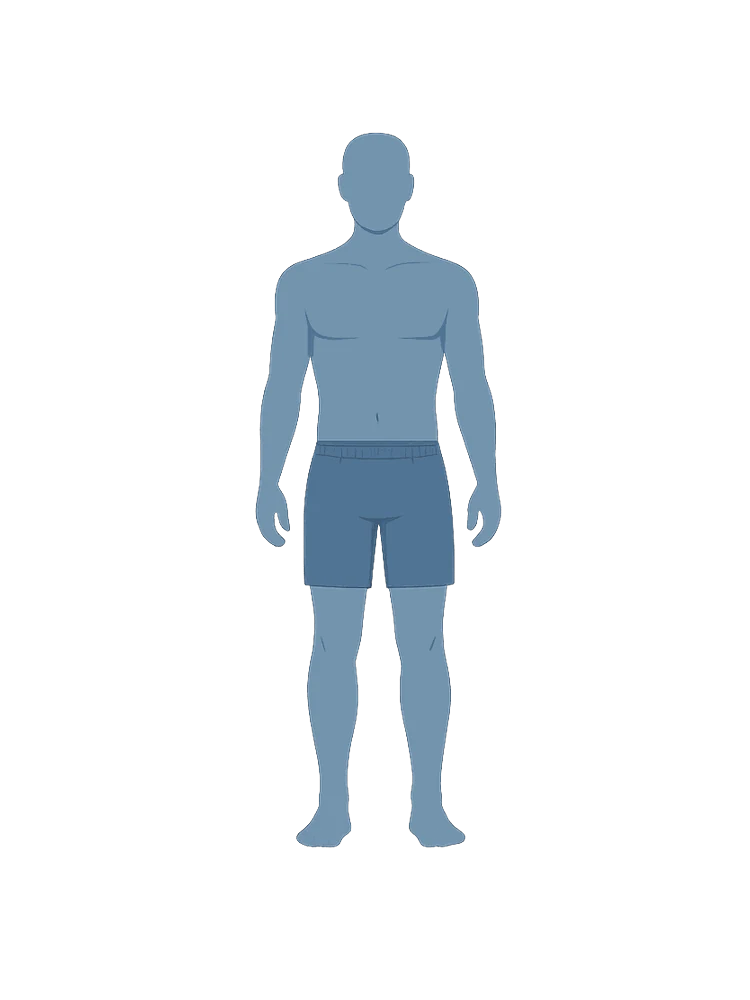 Front view body diagram